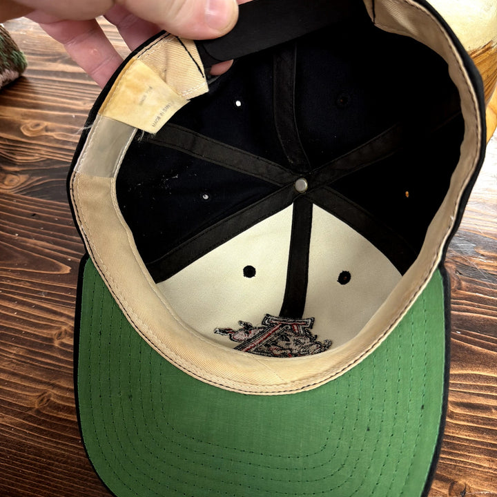 Vintage Arkansas Razorbacks American Needle Plain Logo Snapback Hat