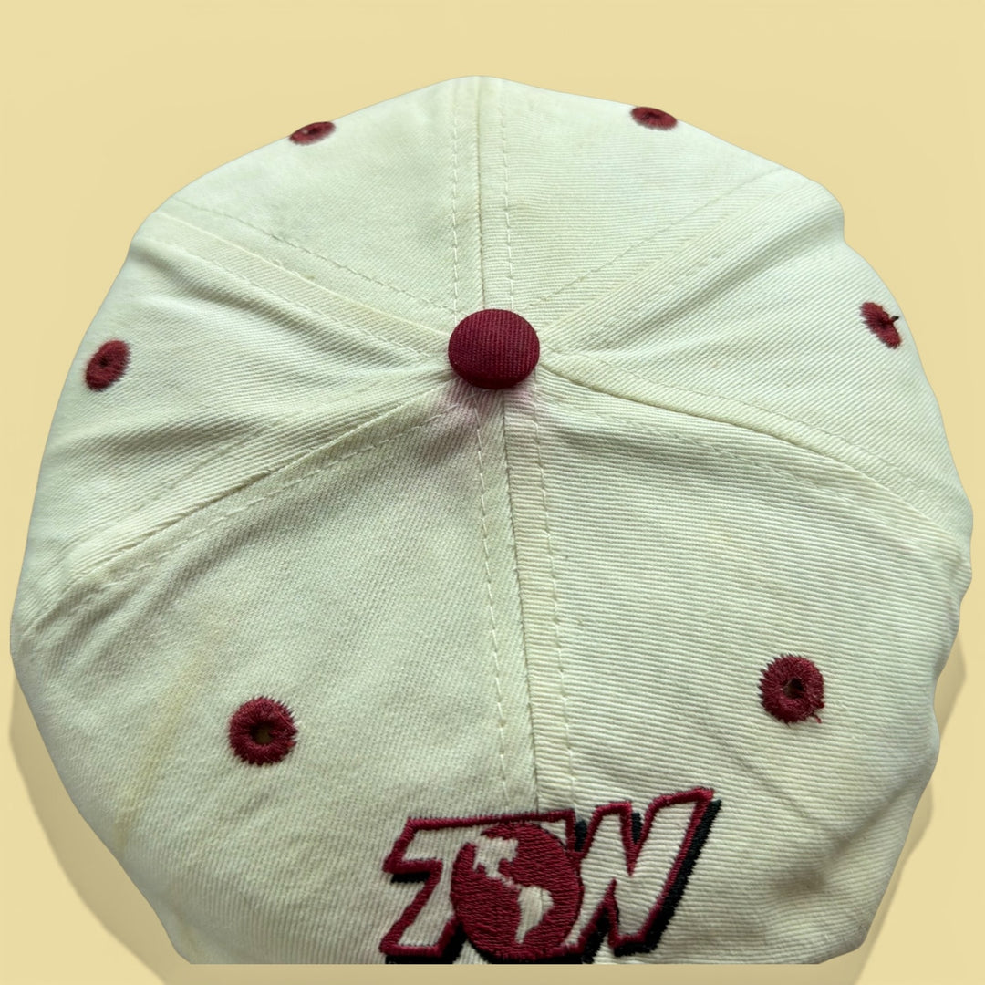 Vintage University of Arkansas 90s Top of the World Snapback Hat