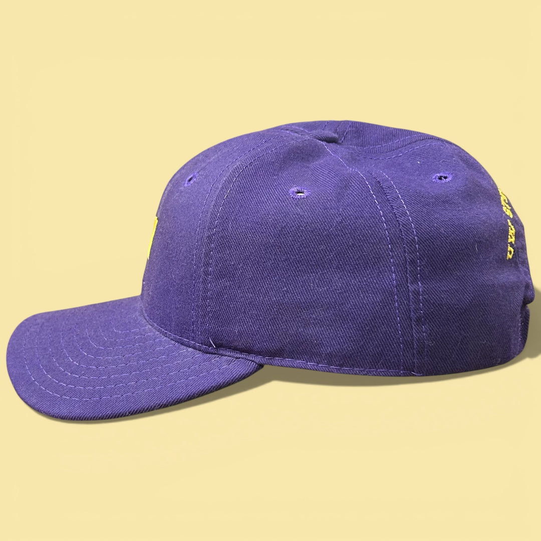 Vintage 90s University of Wisconsin Stevens Point Snapback Hat