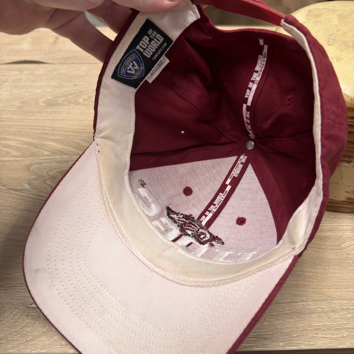 Vintage Y2K Arkansas Hogs Snapback Hat