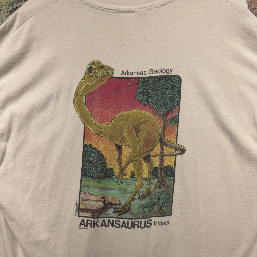 Sigma Gamma Epsilon Vintage Arkansas T Shirt Size  XXL 90s
