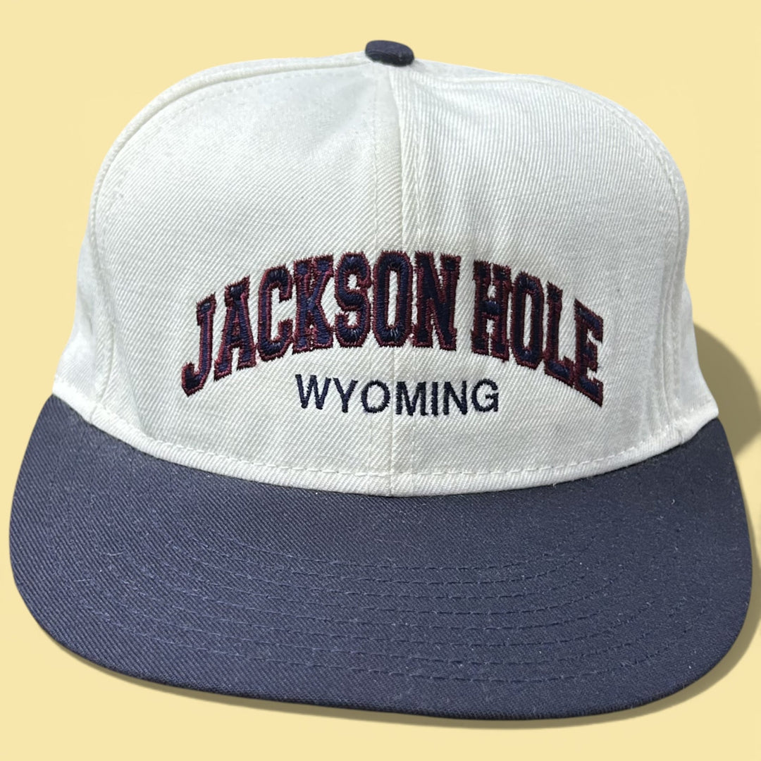 Vintage Jackson Hole Arch 90s Snapback Hat