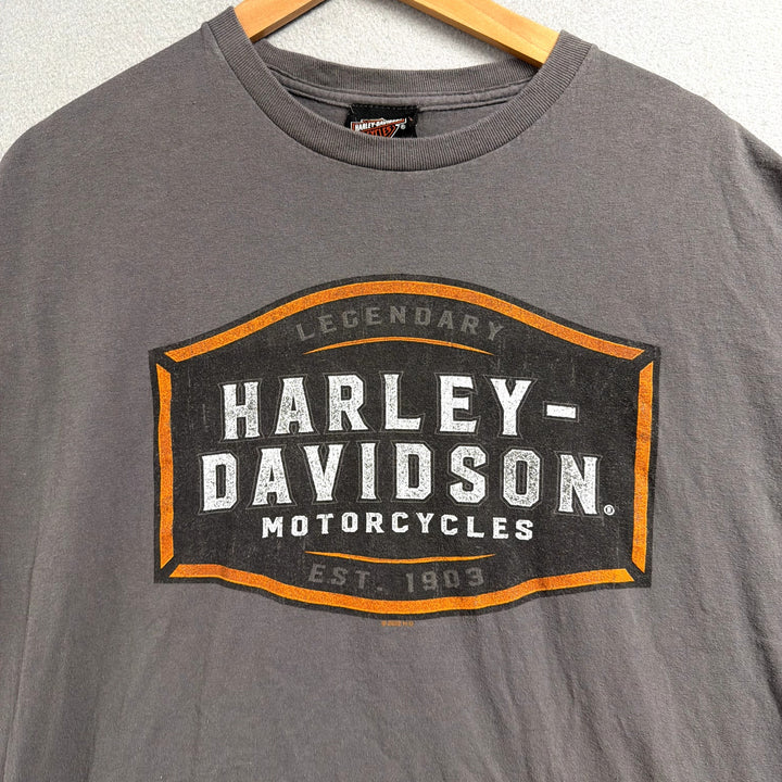 Harley Davidson Gray T shirt Size XL