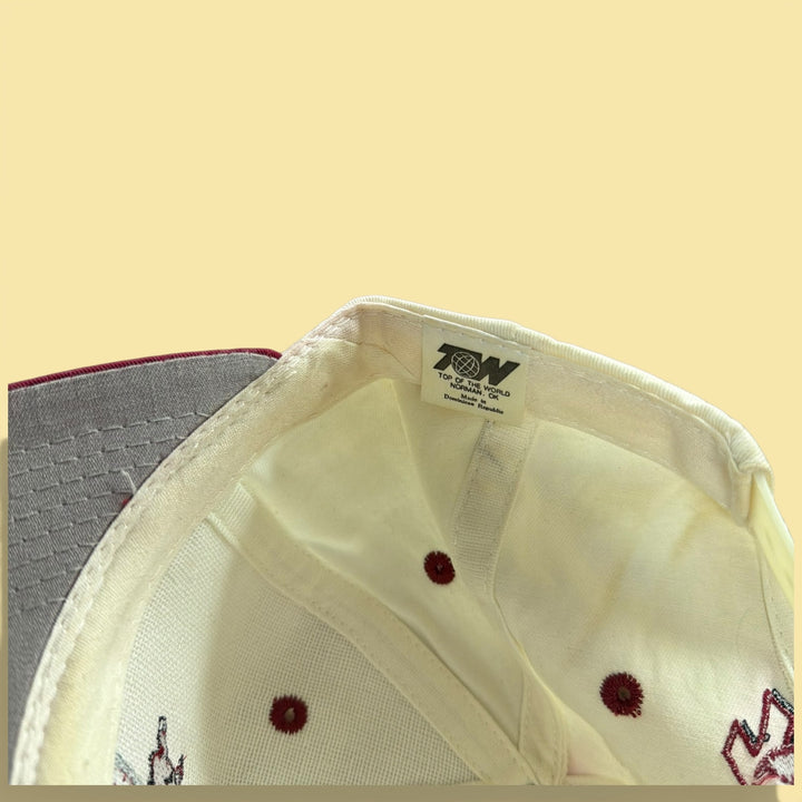 Vintage University of Arkansas 90s Top of the World Snapback Hat
