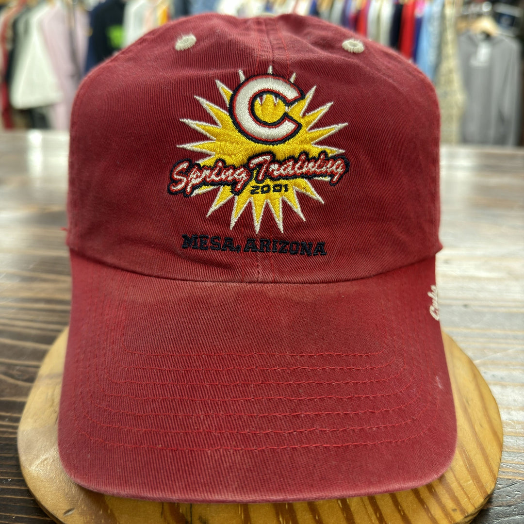 Vintage Y2K Cubs Spring Training Strap back  Dad Hat