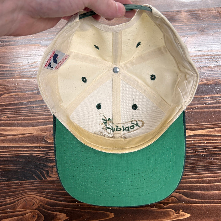 Vintage Yoplait Colombo Yogurt White Green Snapback Hat