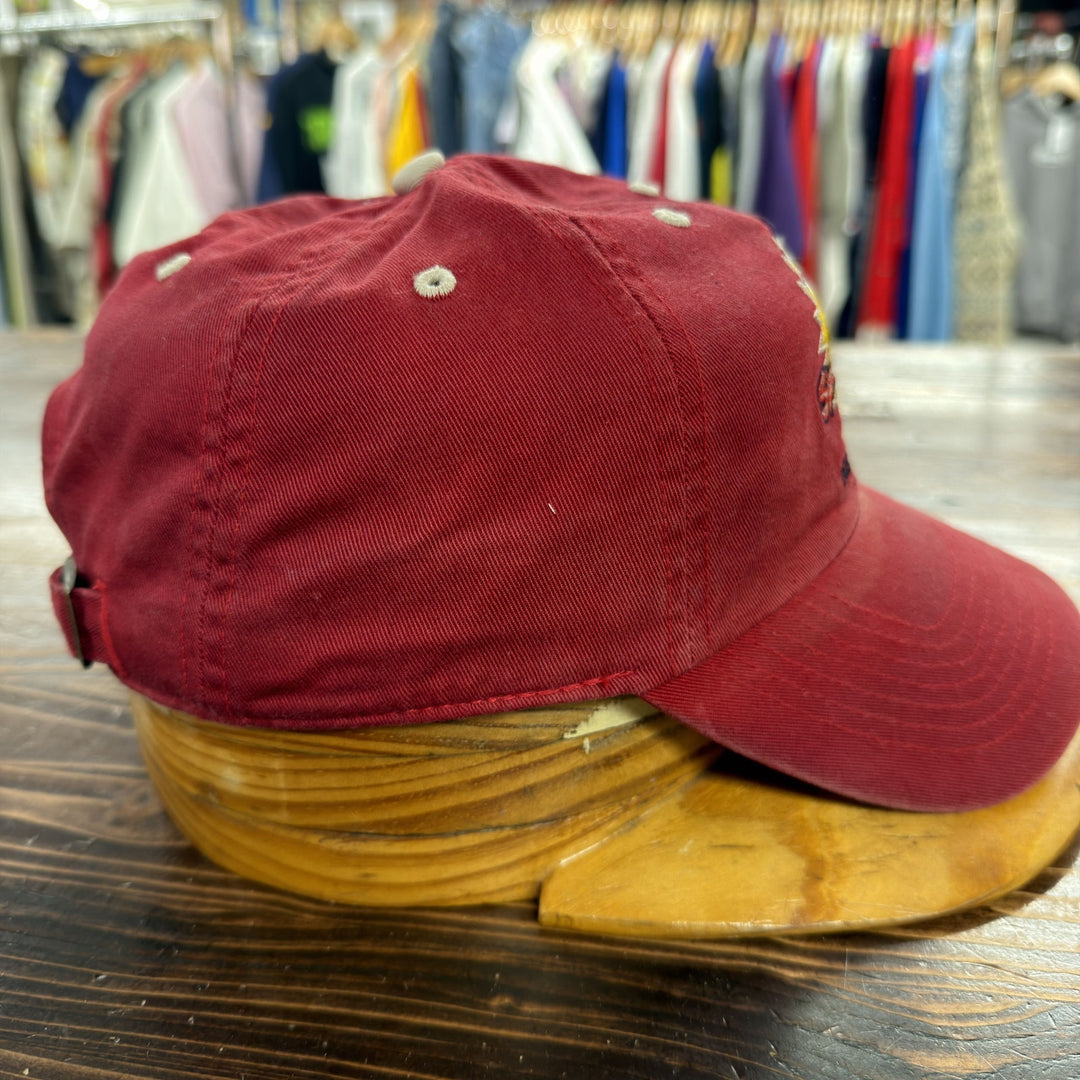 Vintage Y2K Cubs Spring Training Strap back  Dad Hat