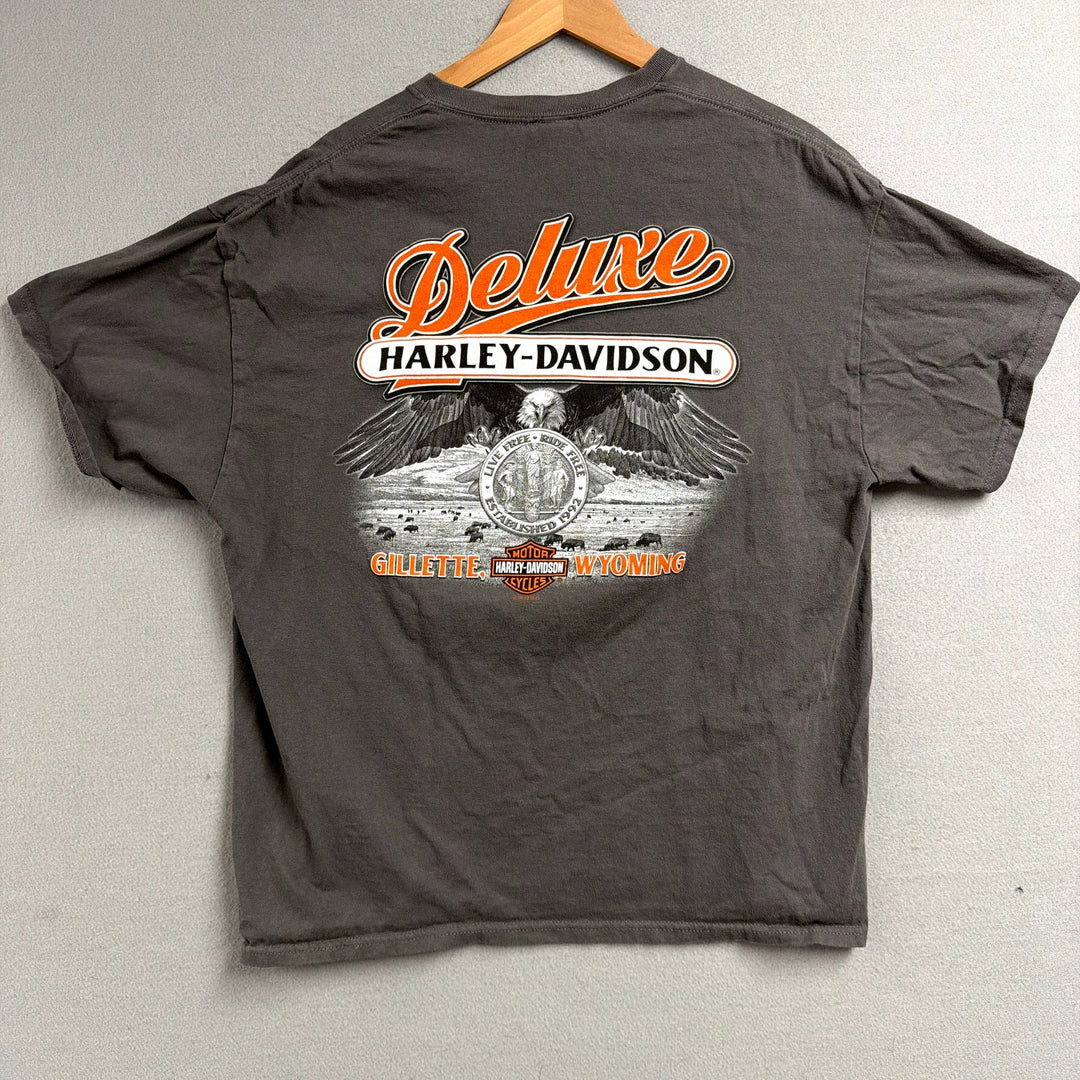 Harley Davidson Gray T shirt Size XL