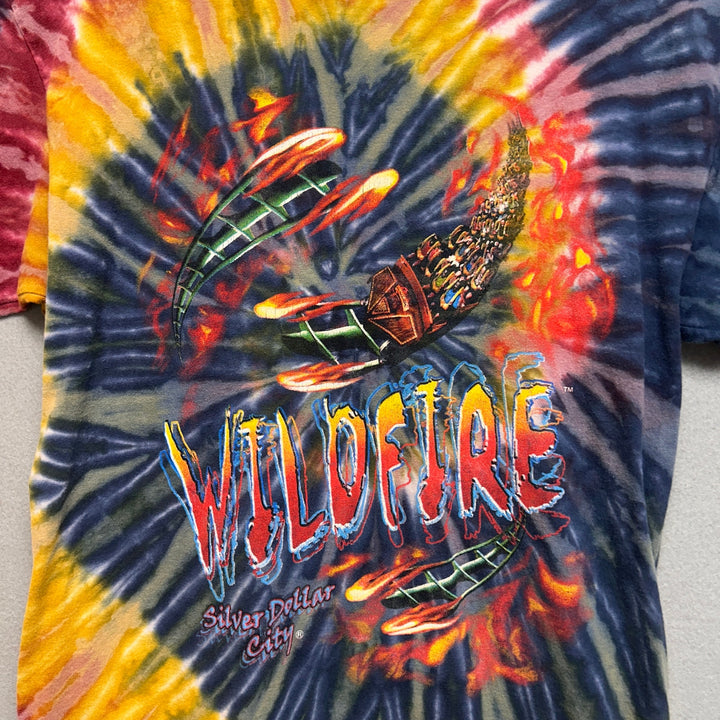 Y2K Silver Dollar City Wildfire Roller Coaster Tie Dye Long Sleeve Shirt Large
