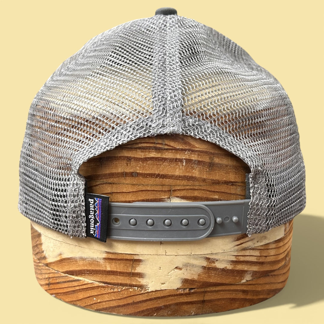 Patagonia Great Wave Snapback Hat