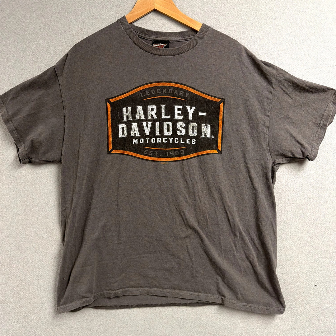 Harley Davidson Gray T shirt Size XL