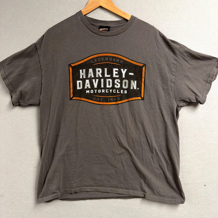 Harley Davidson Gray T shirt Size XL