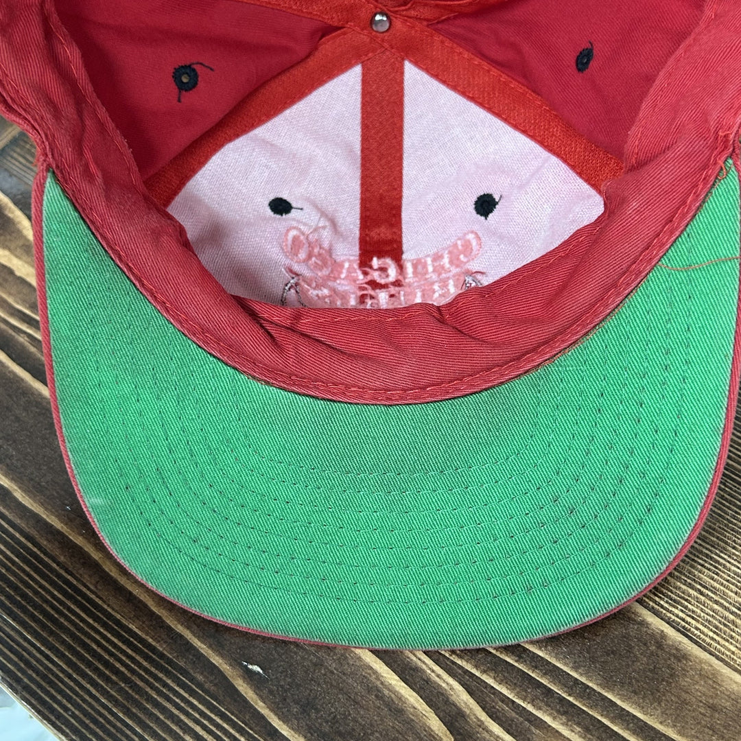 Chicago Bulls Vintage Faded Snapback Hat 90s