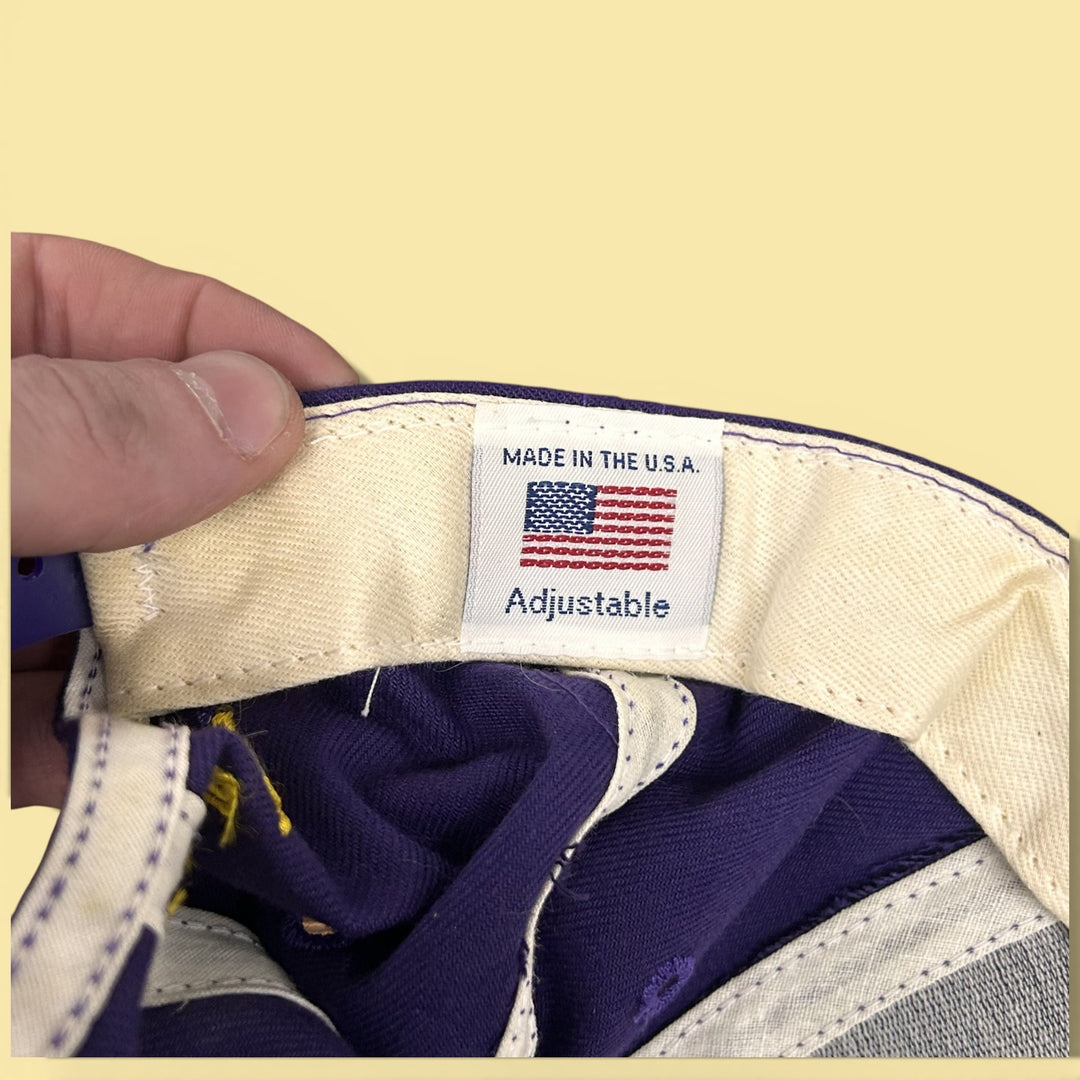 Vintage 90s University of Wisconsin Stevens Point Snapback Hat
