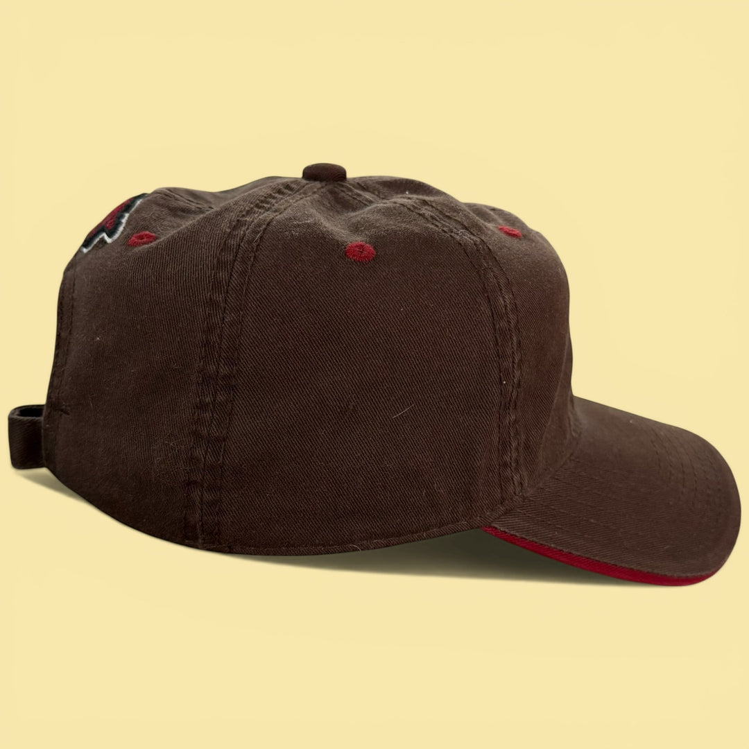 Vintage  Y2K Arkansas Brown Strapback Hat
