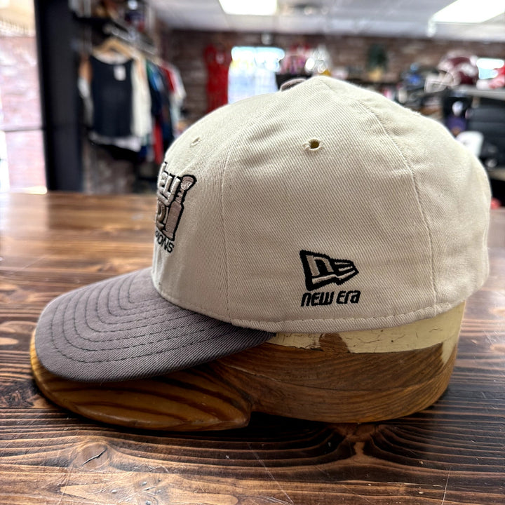 Vintage Dallas Stars Stanley cup Champs New Era Snapback Hat