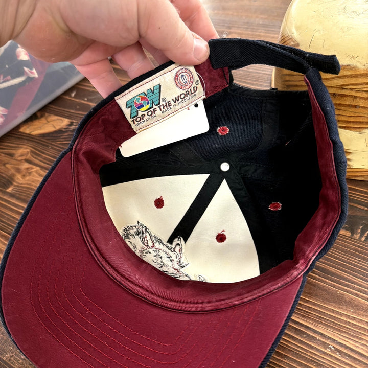 Vintage Arkansas Razorbacks Top of the World Strap back Hat