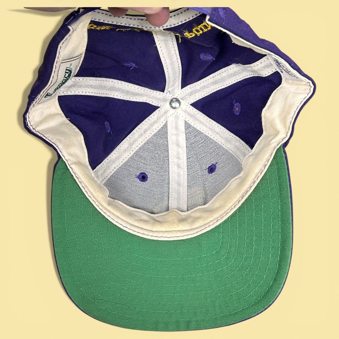 Vintage 90s University of Wisconsin Stevens Point Snapback Hat