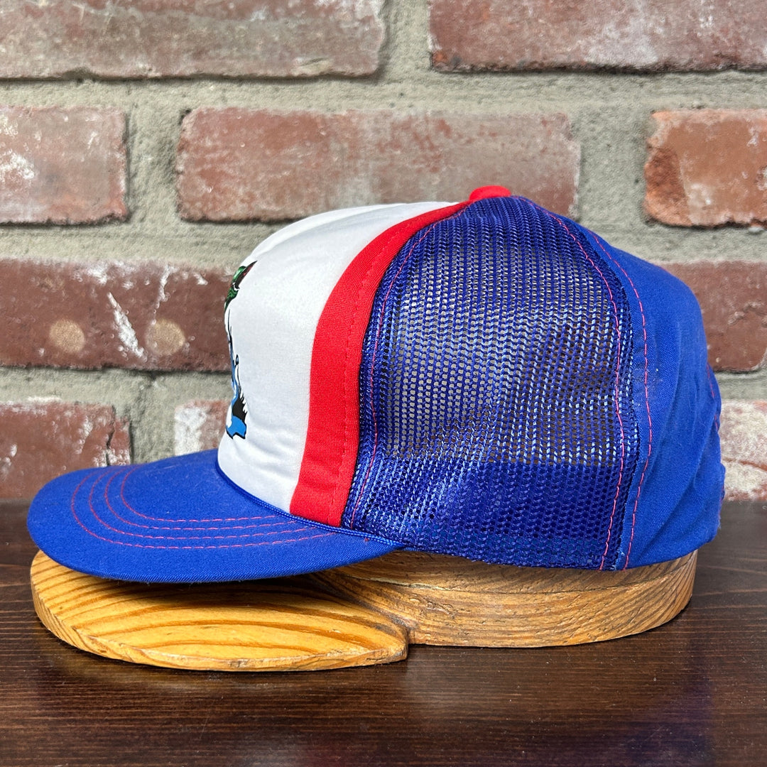 Vintage Fish Trucker Hat