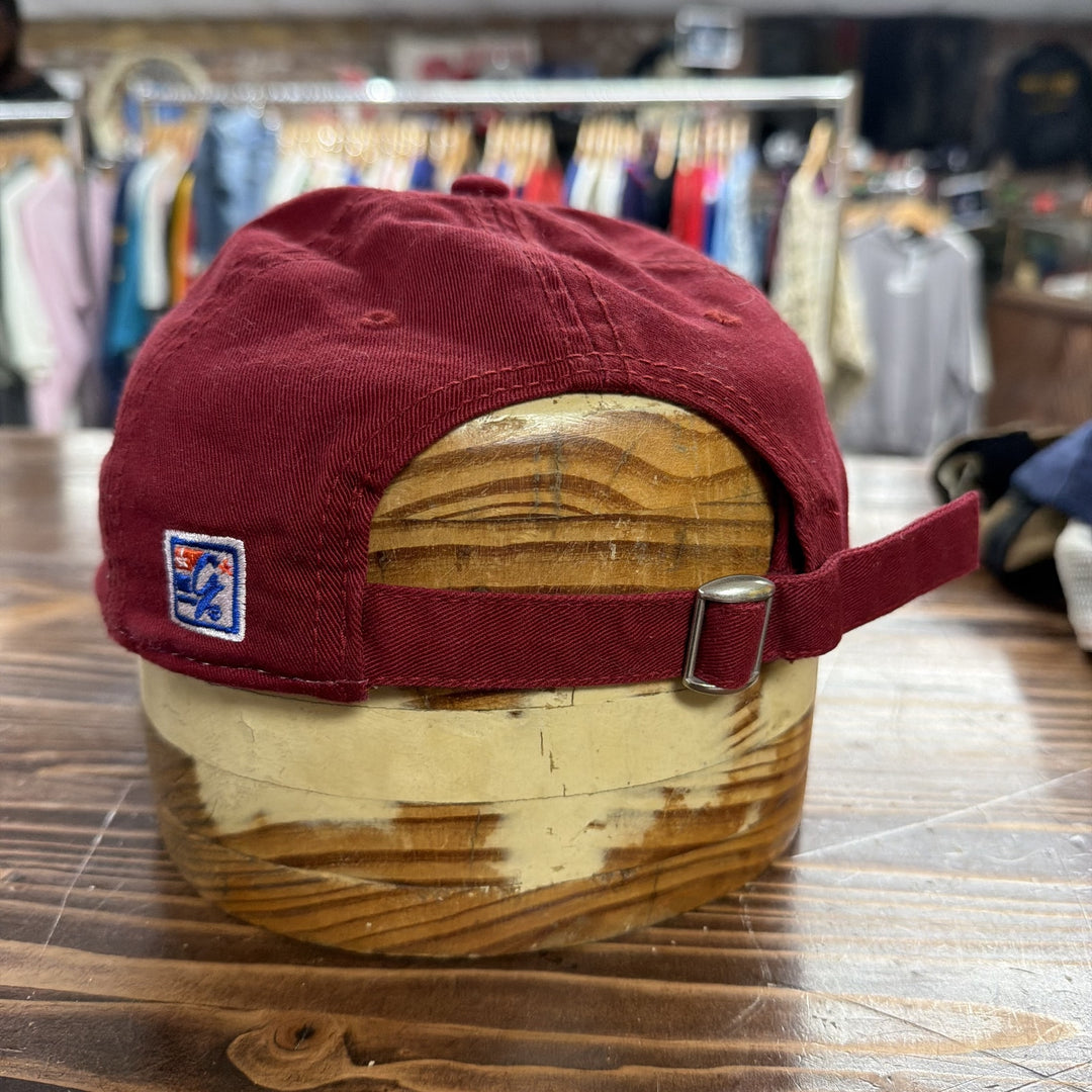 Vintage 2000s Arkansas U of A Strap Back Hat