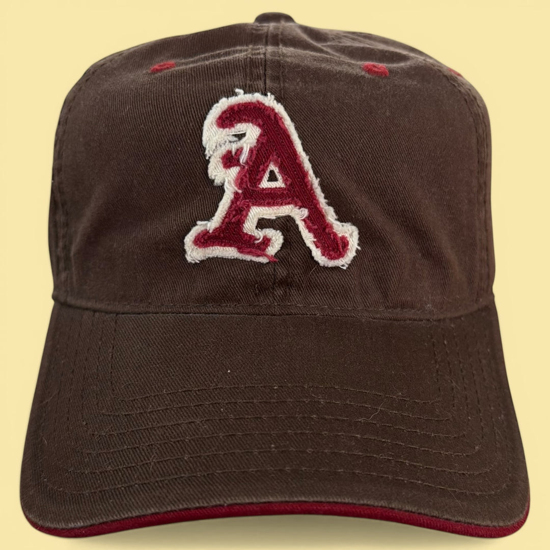 Vintage  Y2K Arkansas Brown Strapback Hat