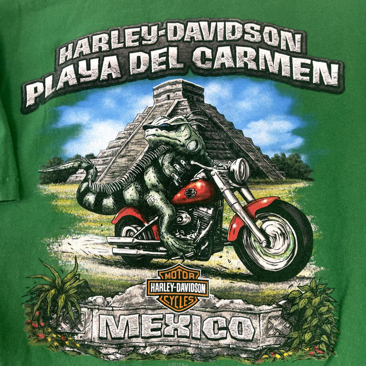 Harley Davidson Mexico Green T Shirt Size Large