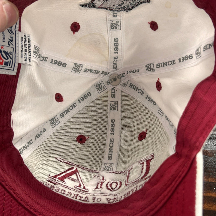 Vintage University Of Arkansas The Game Snapback Hat