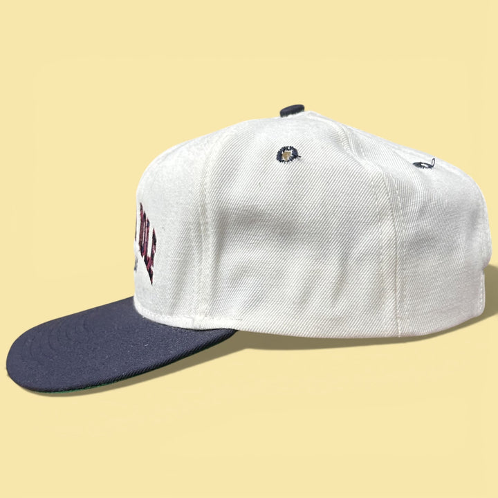 Vintage Jackson Hole Arch 90s Snapback Hat