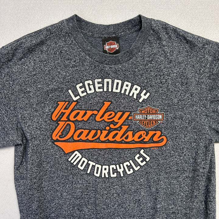 Harley Davidson Sedalia Missouri T Shirt Size Large