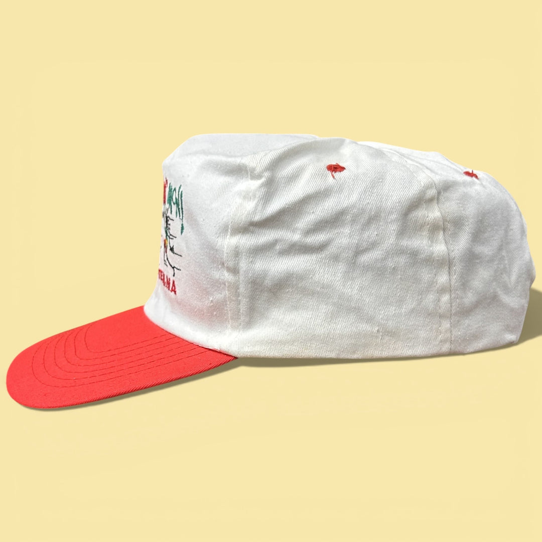 Vintage We Be Jammin St Maarten 90s Snapback Hat