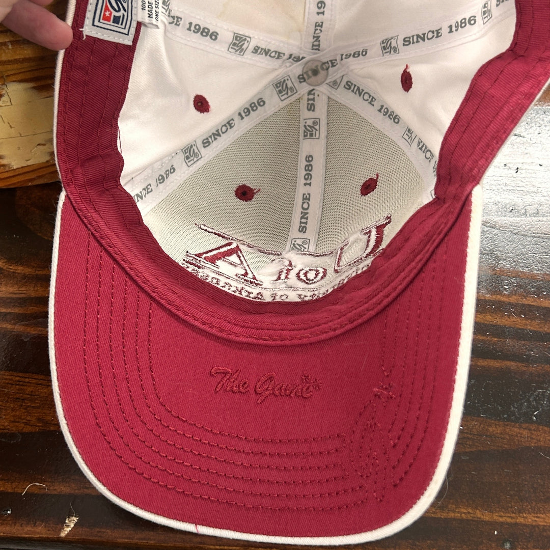 Vintage University Of Arkansas The Game Snapback Hat