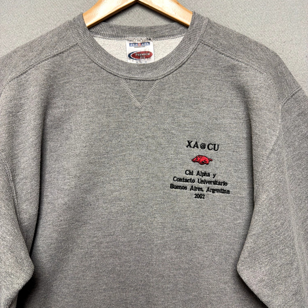 Vintage 2002 University of Arkansas Chi Alpha Argentina Trip Sweatshirt M