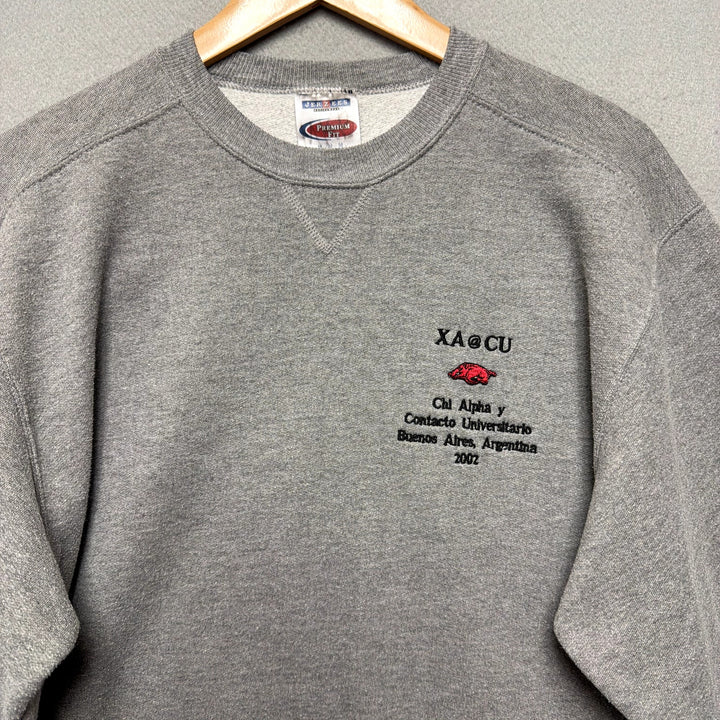 Vintage 2002 University of Arkansas Chi Alpha Argentina Trip Sweatshirt M
