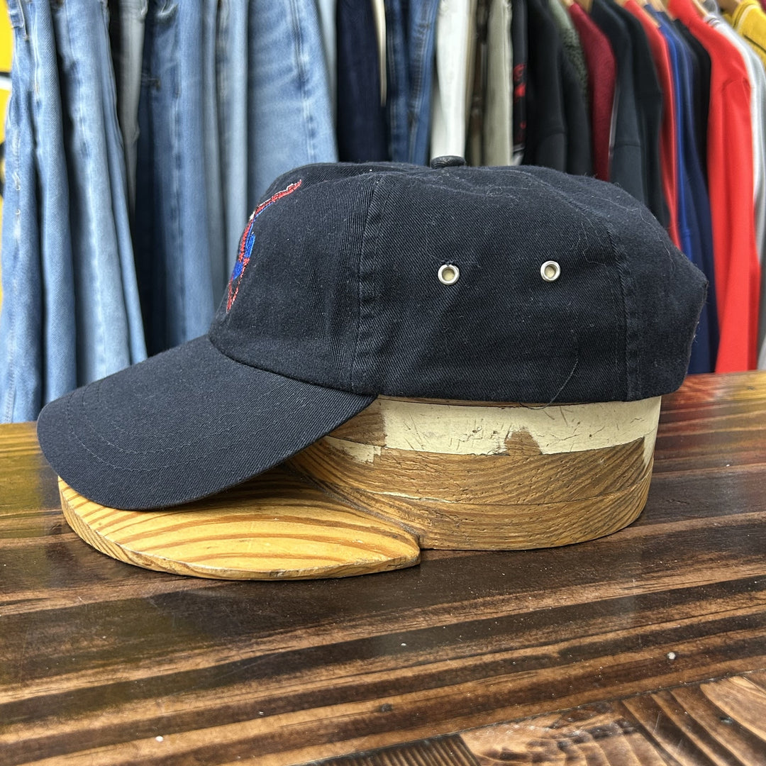 Vintage Spiderman 2000s Movie Strap back Hat