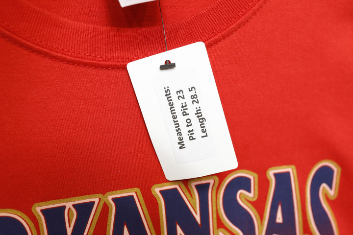 Arkansas Natural State Vintage T Shirt XL 2000s