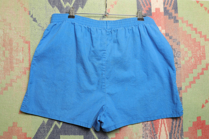 Linnay Vintage Blue Womens Shorts 80s 32